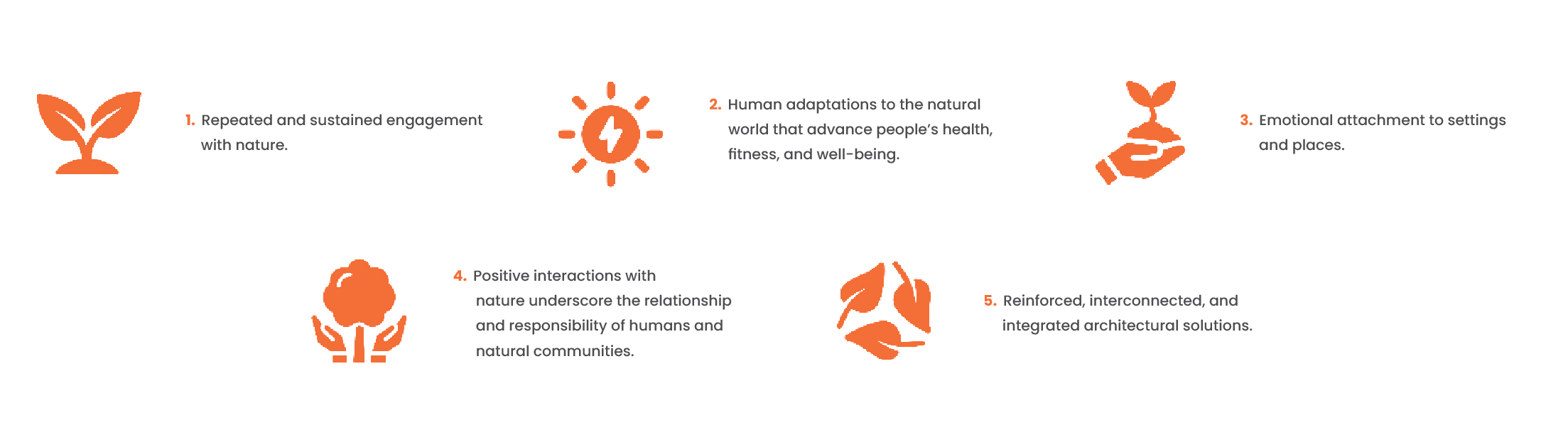 5 Principles of biophilic design